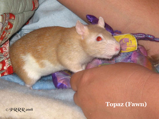 Topaz
